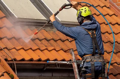Démoussage et hydrofuge de toiture à Bellesserre